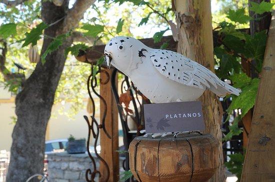 Platanos