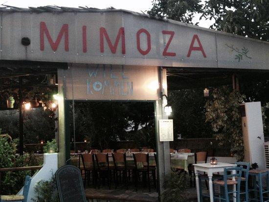 Taverna Mimoza