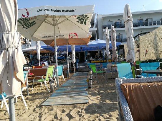 Dolphin Cafe Bar