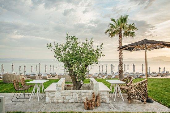 Blue Carpet Suites Restaurant