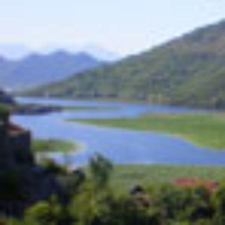Gyrochorio
