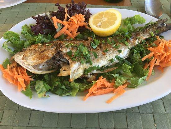 Orestis Taverna Ouzeri