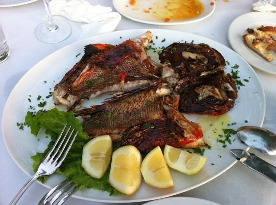 Alexis Taverna