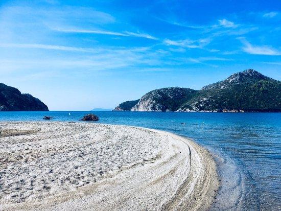 Porto Libre