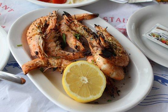 Stelios