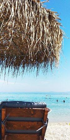 Elephant Beach Bar