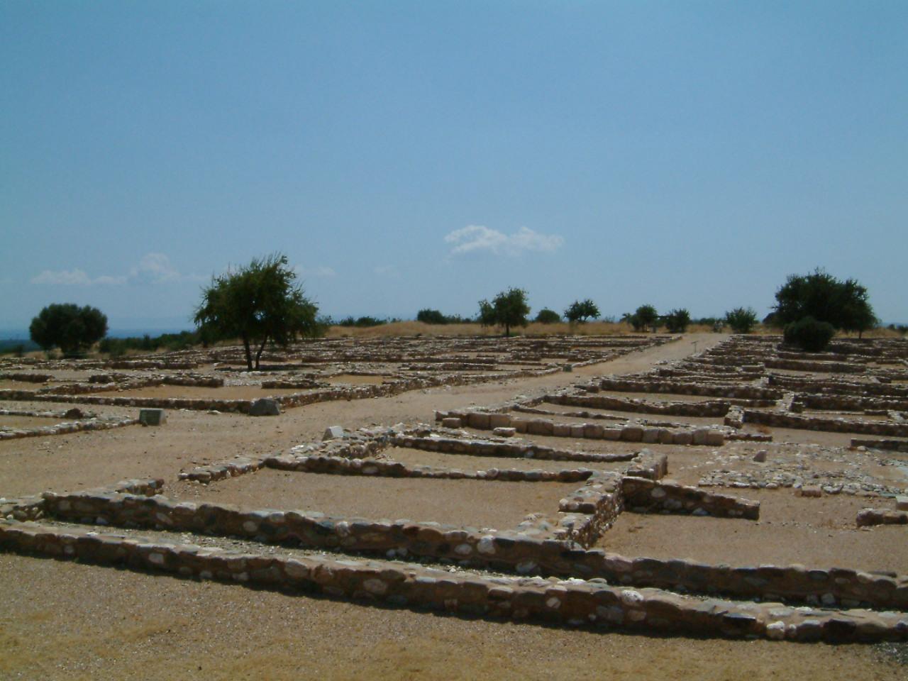 Olint