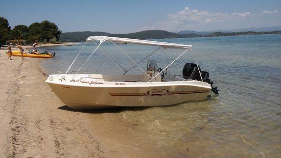 Rent a Boat Dolphin