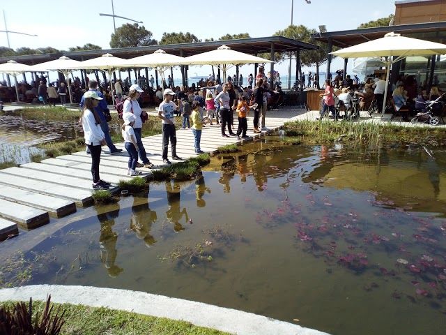 Water Garden